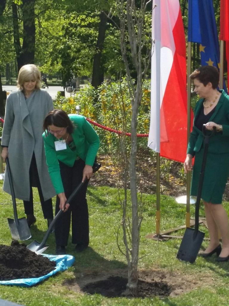 na zdjęciu Emily O'Reilly, prof. Irena Lipowicz i Hanna Gronkiewicz-Waltz sadzą dąb