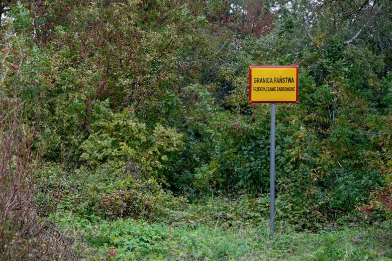 Stojąca w zaroślach tabliczka z napisem "Granica państwa - przekraczanie zabronione"