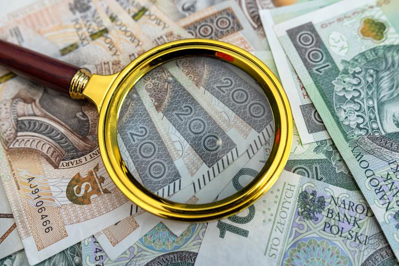 Lupa leżąca na stosie banknotów