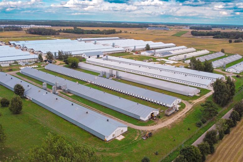 Widok z lotu ptaka kilkudziesięciu baraków otoczonych polami uprawnymi