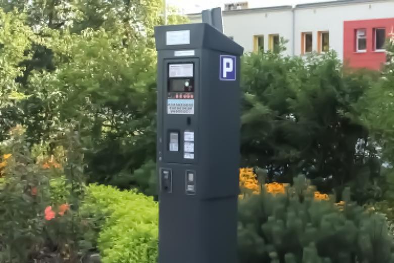 parkomat stojący wśród zieleni