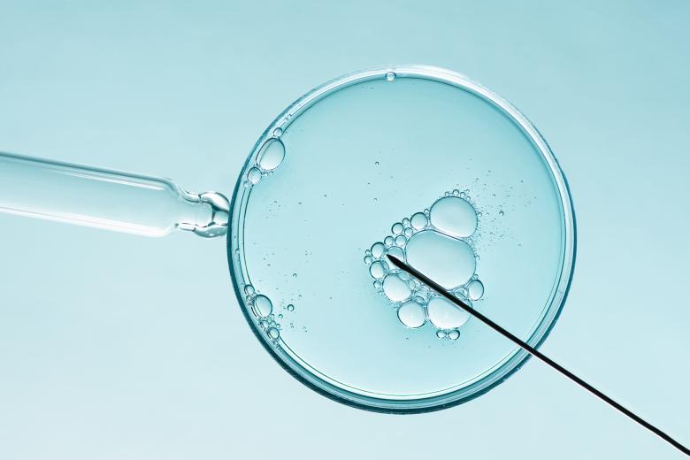 Zbliżenie makrofotograficzne procedury in vitro