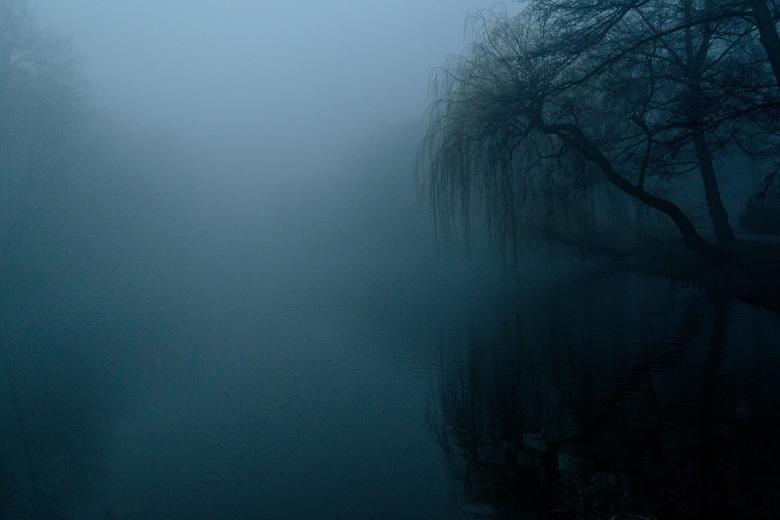 Zdjęcie przedstawia zamglony park