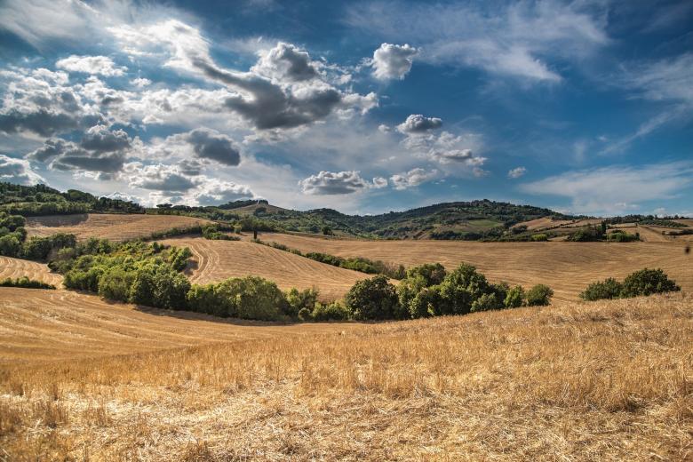 Górzysty krajobraz z polem