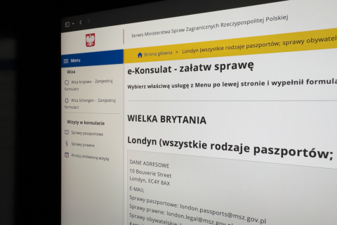 wygląd strony  internetowej systemu e-konsulat 