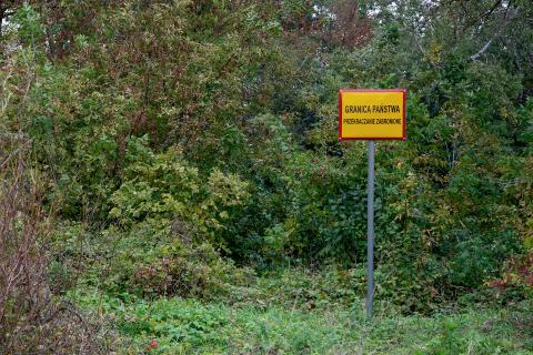 Stojąca w zaroślach tabliczka z napisem "Granica państwa - przekraczanie zabronione"