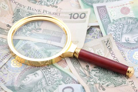 Lupa leżąca na stosie banknotów stuzłotowych