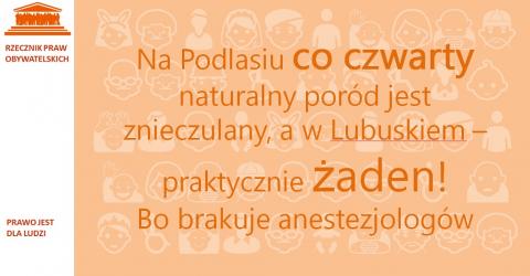 Grafika. Napis na pomarańczowym tle