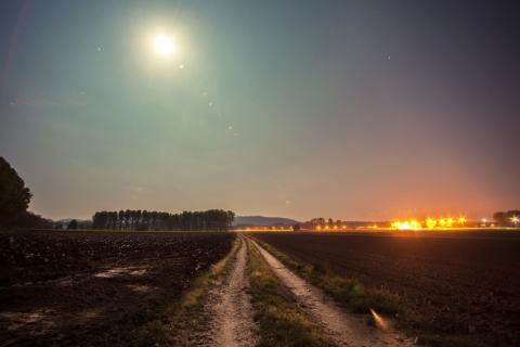 Polna droga oświetlona przez księżyc